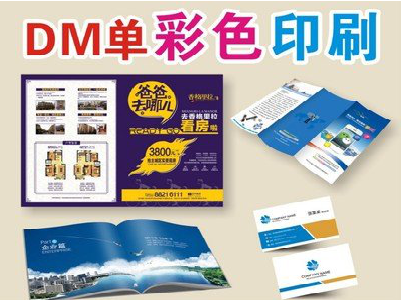 芷江县单页印刷，色彩搭配简单。